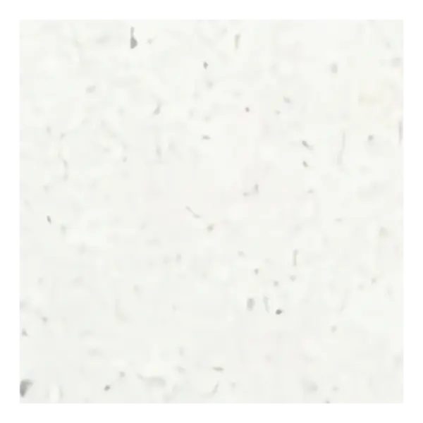 C11