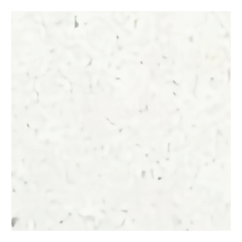 C11