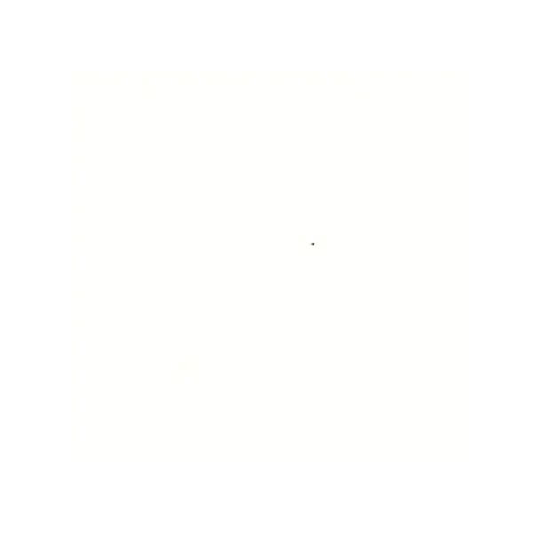 F0933正白